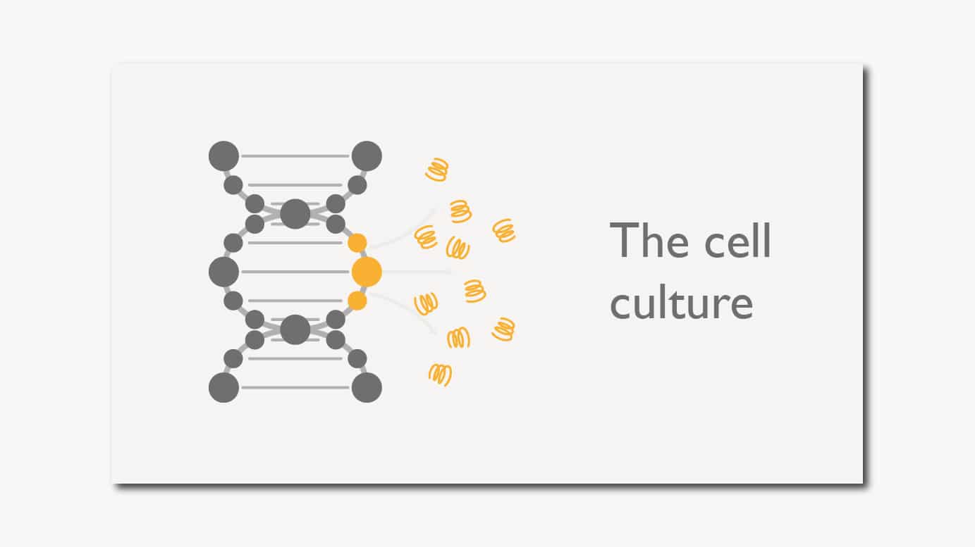 Cellculture