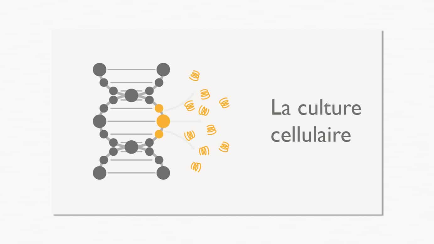 Cult Cellulaire
