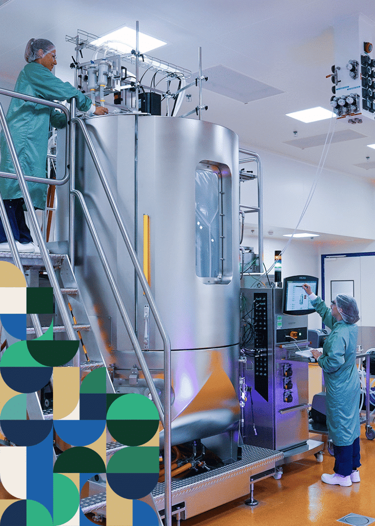 Gmp Capabilities Portrait
